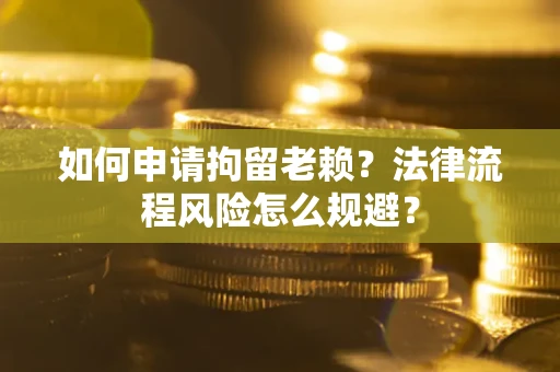 武汉如何申请拘留老赖？法律流程风险怎么规避？