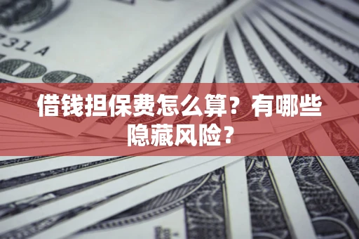 武汉借钱担保费怎么算？有哪些隐藏风险？