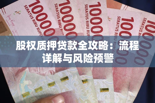 武汉股权质押贷款全攻略：流程详解与风险预警