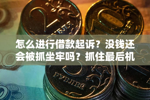 武汉怎么进行借款起诉？没钱还会被抓坐牢吗？抓住最后机会！