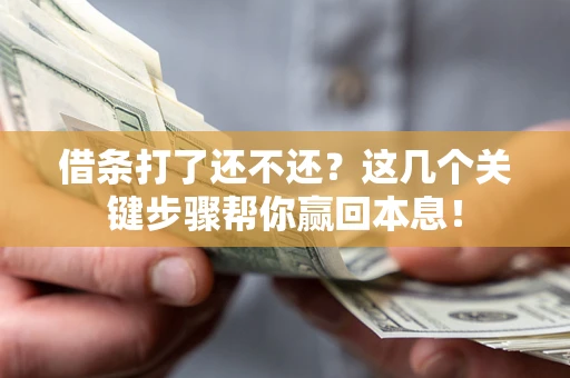 武汉借条打了还不还？这几个关键步骤帮你赢回本息！