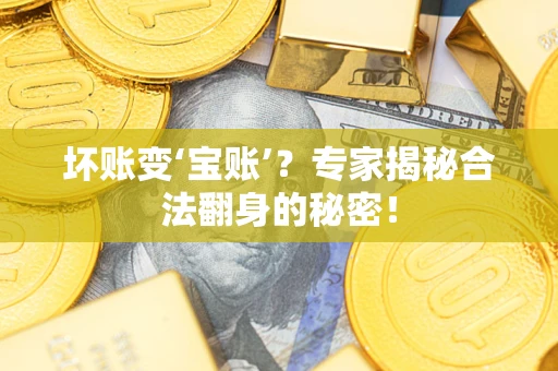 武汉坏账变‘宝账’？专家揭秘合法翻身的秘密！