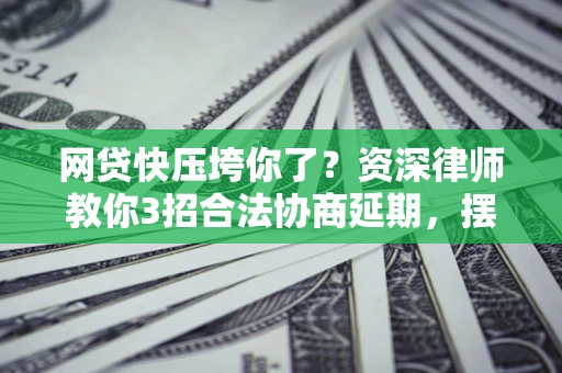 武汉网贷快压垮你了？资深律师教你3招合法协商延期，摆脱暴力催收！