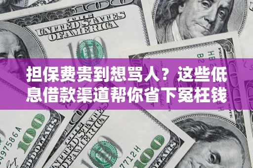 武汉担保费贵到想骂人？这些低息借款渠道帮你省下冤枉钱