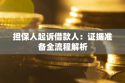 武汉担保人起诉借款人：证据准备全流程解析