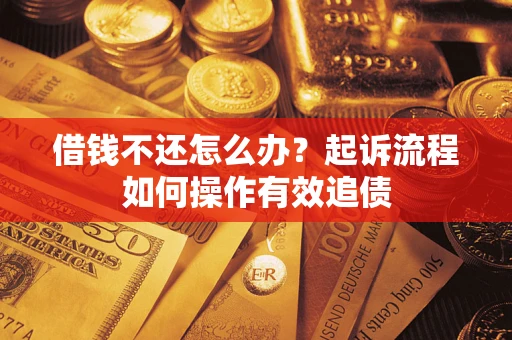 武汉借钱不还怎么办？起诉流程如何操作有效追债