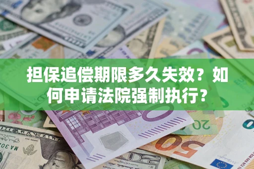 武汉担保追偿期限多久失效？如何申请法院强制执行？