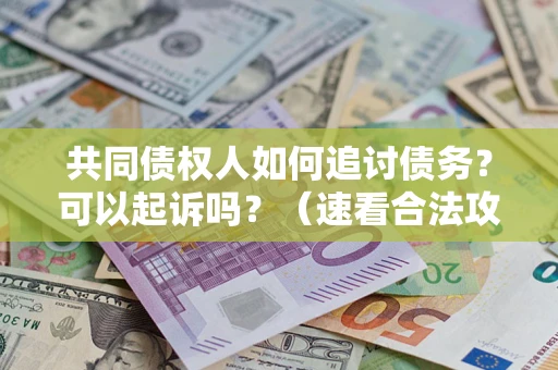 武汉共同债权人如何追讨债务？可以起诉吗？（速看合法攻略）