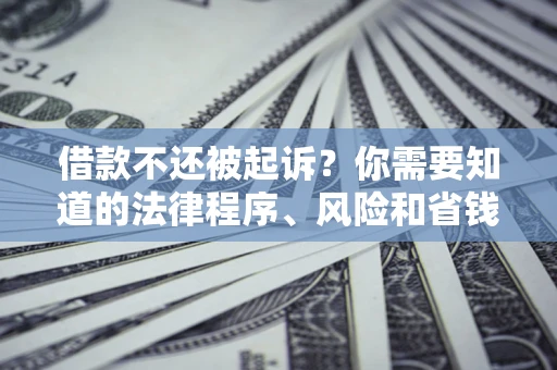 武汉借款不还被起诉？你需要知道的法律程序、风险和省钱技巧