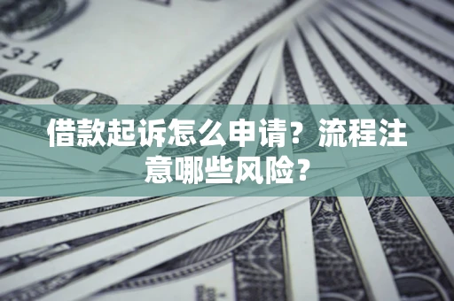 武汉借款起诉怎么申请？流程注意哪些风险？