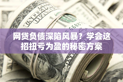 武汉网贷负债深陷风暴？学会这招扭亏为盈的秘密方案