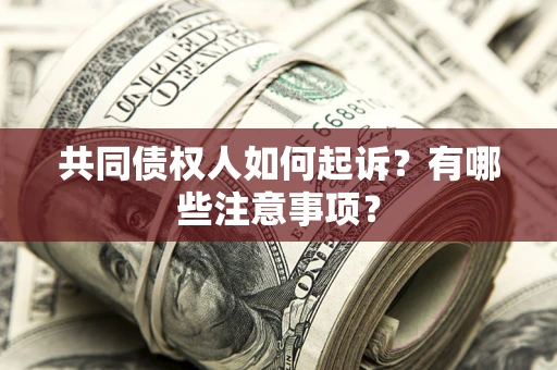 武汉共同债权人如何起诉？有哪些注意事项？
