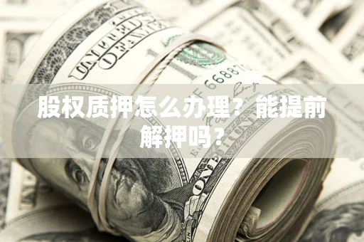 武汉股权质押怎么办理？能提前解押吗？